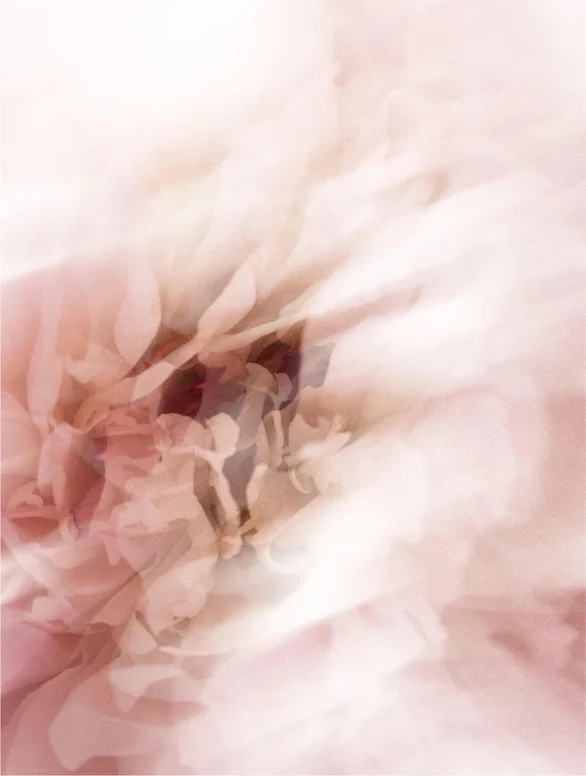 fleurs blanches-saniva Stick Solaire Minéral à l'Huile de Jojoba